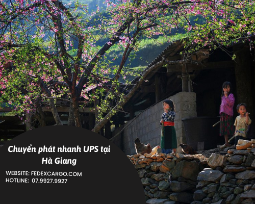 Chuyển phát nhanh UPS tại Hà Giang